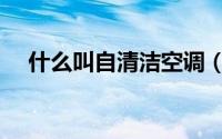 什么叫自清洁空调（什么是自清洁空调）