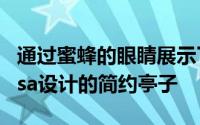 通过蜜蜂的眼睛展示了Studio MK27为Micasa设计的简约亭子