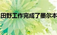 田野工作完成了墨尔本公寓楼的透气网状立面