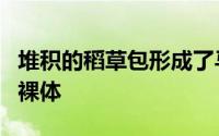 堆积的稻草包形成了马拉维概念学校的墙壁由裸体