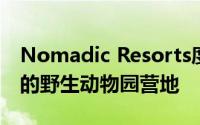 Nomadic Resorts度假村创建了俯瞰印度洋的野生动物园营地