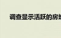 调查显示活跃的房地产投资者仍在购买