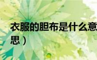 衣服的胆布是什么意思（胆布290T是什么意思）