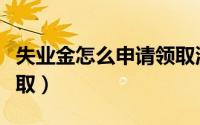 失业金怎么申请领取流程（失业金怎么申请领取）