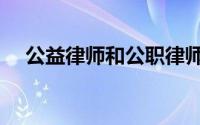 公益律师和公职律师的区别（公益律师）