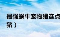 最强蜗牛宠物猪连点1000下（最强蜗牛宠物猪）