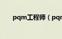 pqm工程师（pqmagic 9 0中文版）