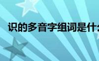 识的多音字组词是什么（识的多音字组词）