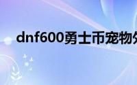 dnf600勇士币宠物外观（dnf勇士宠物）