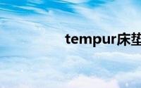 tempur床垫（tempur）