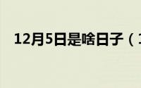 12月5日是啥日子（12月5日是什么日子）