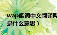 wap歌词中文翻译哔哩哔哩（wap歌词中文是什么意思）