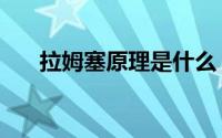 拉姆塞原理是什么（拉姆塞死亡定律）