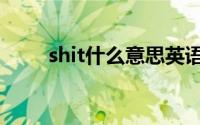 shit什么意思英语（shit什么意思）