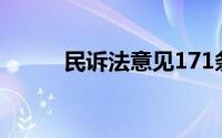 民诉法意见171条（民诉法意见）