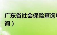 广东省社会保险查询电话（广东省社会保险查询）