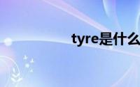 tyre是什么意思（tyr）