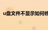 u盘文件不显示如何修复（u盘文件不显示）