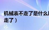 机械表不走了是什么原因如何处理（机械表不走了）