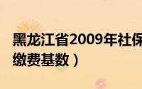 黑龙江省2009年社保缴费基数（2009年社保缴费基数）