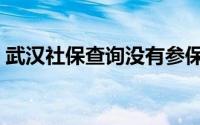 武汉社保查询没有参保信息（武汉医保查询）