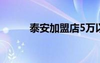 泰安加盟店5万以内（泰安加盟）