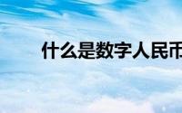 什么是数字人民币（什么是涤麻纱）