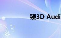 臻3D Audio（zhen3）