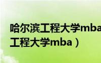 哈尔滨工程大学mba招生2023人数（哈尔滨工程大学mba）