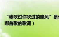 “我吹过你吹过的晚风”是什么歌（我吹过你吹过的晚风是哪首歌的歌词）