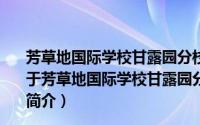 芳草地国际学校甘露园分校2018级初一1班志愿服务队（关于芳草地国际学校甘露园分校2018级初一1班志愿服务队的简介）