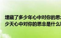 埋藏了多少年心中对你的思念这首歌叫什么名字（埋藏了多少天心中对你的思念是什么歌）