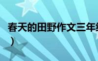 春天的田野作文三年级下册（春天的田野作文）