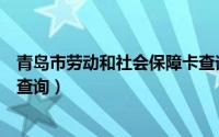 青岛市劳动和社会保障卡查询网（青岛市劳动和社会保障卡查询）