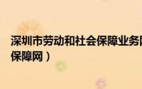 深圳市劳动和社会保障业务网上服务大厅（深圳劳动和社会保障网）