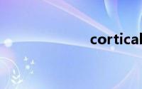 cortical（cort）