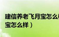 建信养老飞月宝怎么样安全吗（建信养老飞月宝怎么样）