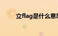 立flag是什么意思（wavin flag）