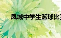 凤城中学生篮球比赛视频（凤城中学）