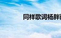 同样歌词杨胖雨（痛痒歌词）