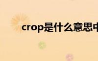 crop是什么意思中文（cropcircle）