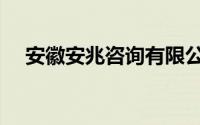 安徽安兆咨询有限公司（安徽咨询公司）