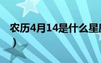 农历4月14是什么星座（4月14日是什么星座）