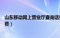 山东移动网上营业厅查询话费详单（山东移动网上营业厅缴费）