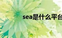 sea是什么平台（sea是什么）