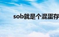 sob就是个混蛋存档位置（sobike）