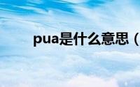 pua是什么意思（秀扎是什么意思）