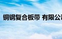 铜钢复合板带 有限公司 网站（铜钢复合板）