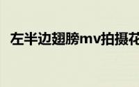 左半边翅膀mv拍摄花絮（左半边翅膀mv）