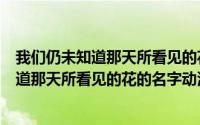 我们仍未知道那天所看见的花的名字动漫全集（我们仍未知道那天所看见的花的名字动漫）